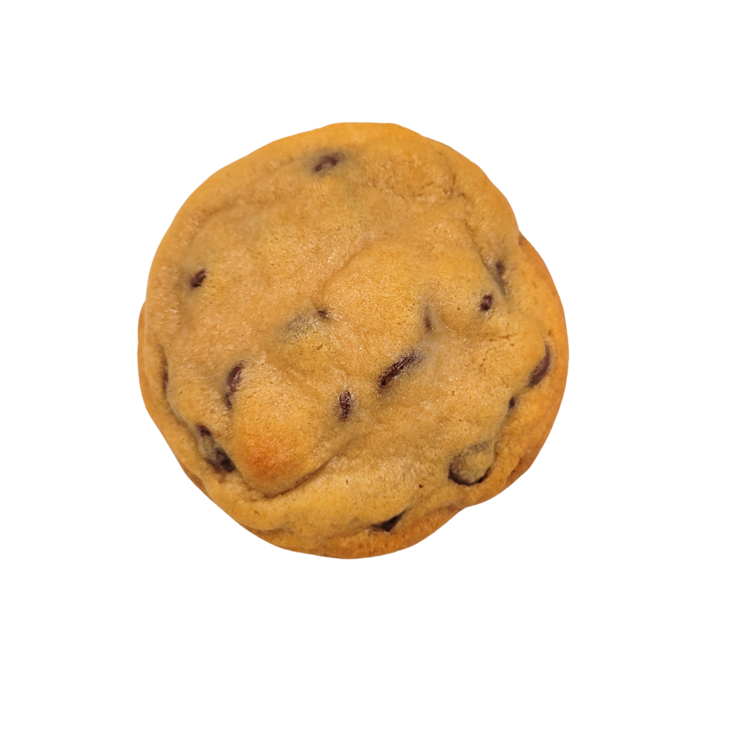 Chocolate Chip Nutella Cookie